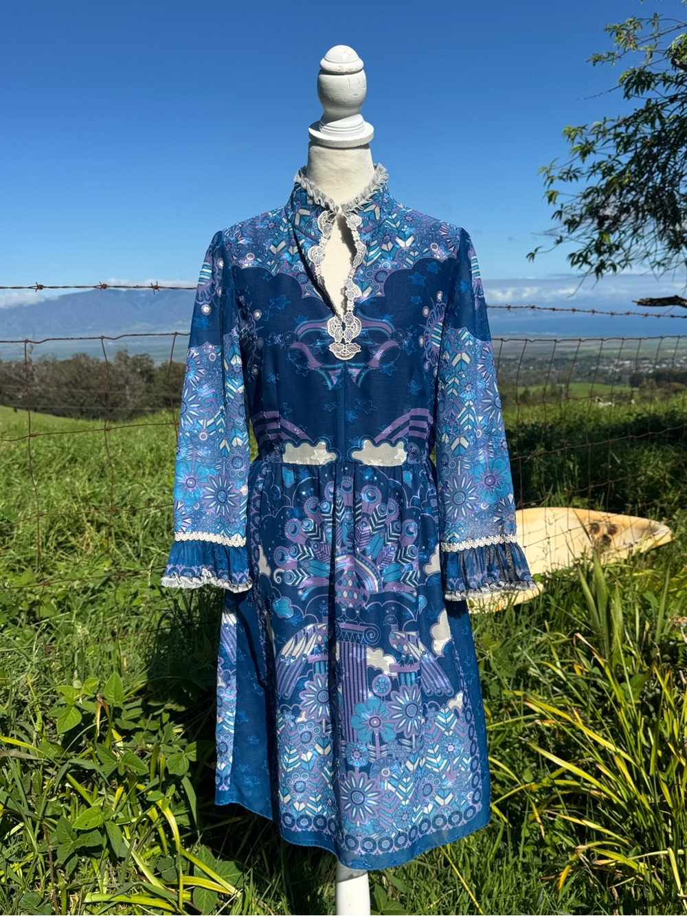 Anna Sui Blue Peacock Long Sleeve Victorian Dress size 0